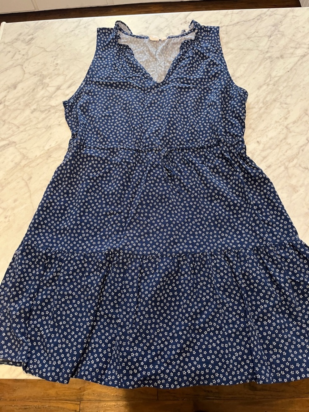 GAP Blue Floral Sleeveless Tiered Dress
